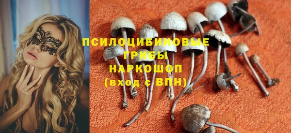 spice Белокуриха